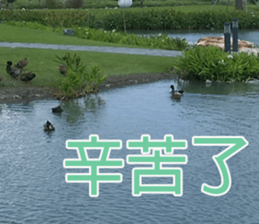 My funny sticker sticker #14619157