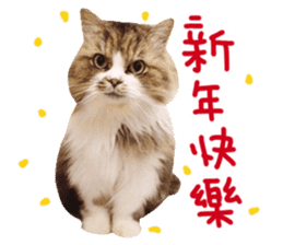La-cha-hua - Happy Lunar New Year ! sticker #14619352
