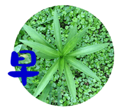 Warm Morning&Night sticker #14619806