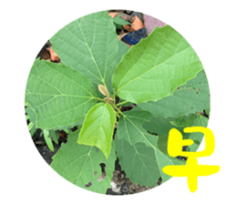 Warm Morning&Night sticker #14619807