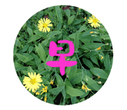 Warm Morning&Night sticker #14619808