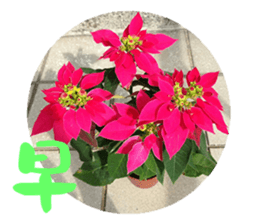 Warm Morning&Night sticker #14619809