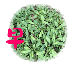 Warm Morning&Night sticker #14619813