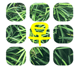 Warm Morning&Night sticker #14619815