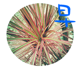 Warm Morning&Night sticker #14619818