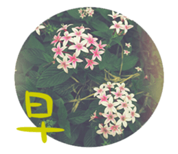 Warm Morning&Night sticker #14619819