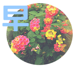 Warm Morning&Night sticker #14619820