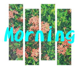 Warm Morning&Night sticker #14619822