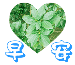 Warm Morning&Night sticker #14619823