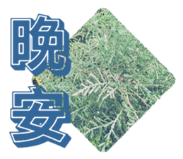 Warm Morning&Night sticker #14619824