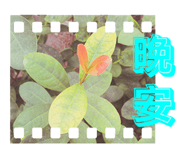 Warm Morning&Night sticker #14619825