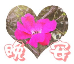 Warm Morning&Night sticker #14619828