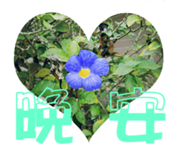 Warm Morning&Night sticker #14619829