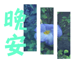 Warm Morning&Night sticker #14619831