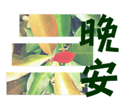 Warm Morning&Night sticker #14619832