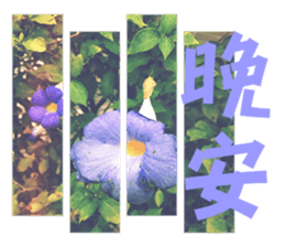 Warm Morning&Night sticker #14619833