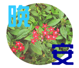 Warm Morning&Night sticker #14619834