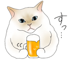 16 CATS sticker #14619878