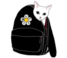 16 CATS sticker #14619879