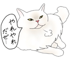 16 CATS sticker #14619883