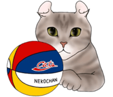 16 CATS sticker #14619884