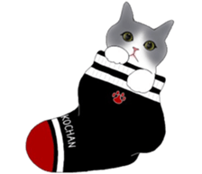 16 CATS sticker #14619885