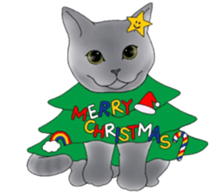 16 CATS sticker #14619886