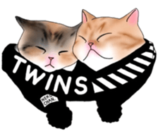 16 CATS sticker #14619888