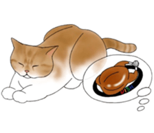 16 CATS sticker #14619890