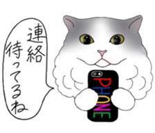 16 CATS sticker #14619892