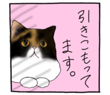 16 CATS sticker #14619895