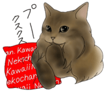 16 CATS sticker #14619896