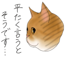 16 CATS sticker #14619897