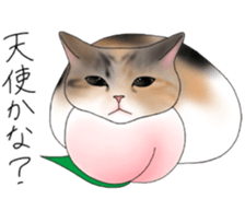 16 CATS sticker #14619899