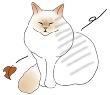 16 CATS sticker #14619900