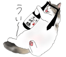 16 CATS sticker #14619901