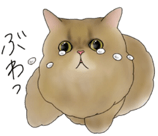 16 CATS sticker #14619902