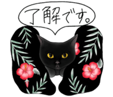 16 CATS sticker #14619904