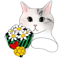 16 CATS sticker #14619905