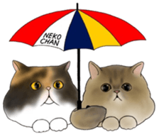 16 CATS sticker #14619906