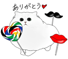 16 CATS sticker #14619907