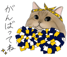 16 CATS sticker #14619909