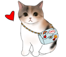 16 CATS sticker #14619912