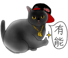 16 CATS sticker #14619913