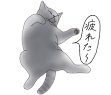 16 CATS sticker #14619914