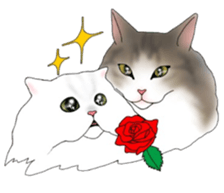 16 CATS sticker #14619915