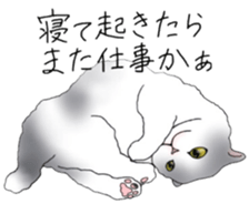 16 CATS sticker #14619917