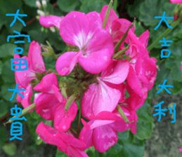 Qi Chi sticker #14620479