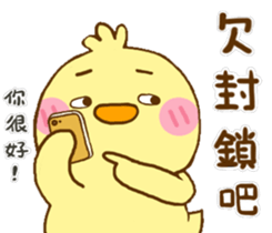 White eye and lovely is ibib-duck sticker #14621702