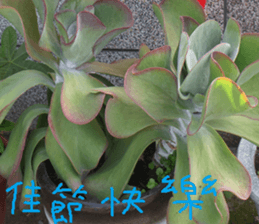 Lingling life sticker #14625562